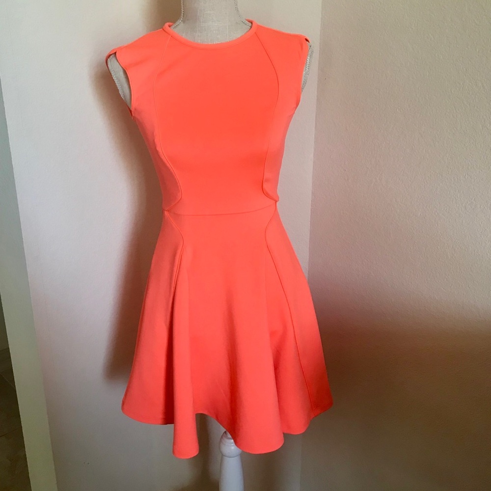 Ted Baker dress
